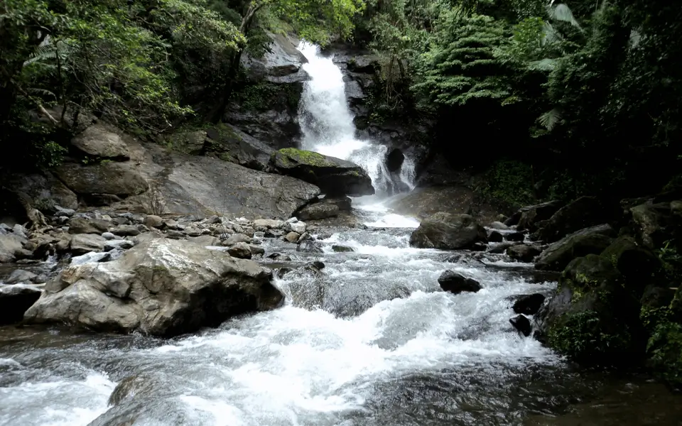Meenvallam Water Falls
